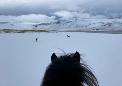 Winter Wonderland Horseback Riding Adventure (7)