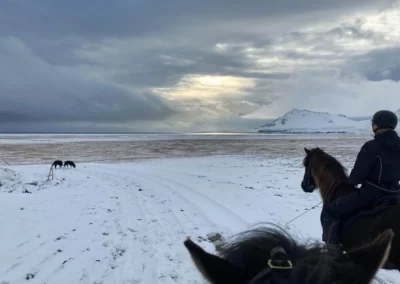 Winter Wonderland Horseback Riding Adventure (9)