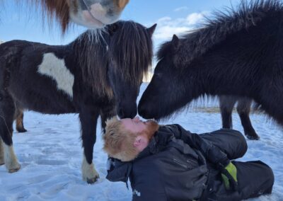 Winter Retreat Stori Kambur Curious horses